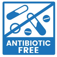 Antibiotic Free